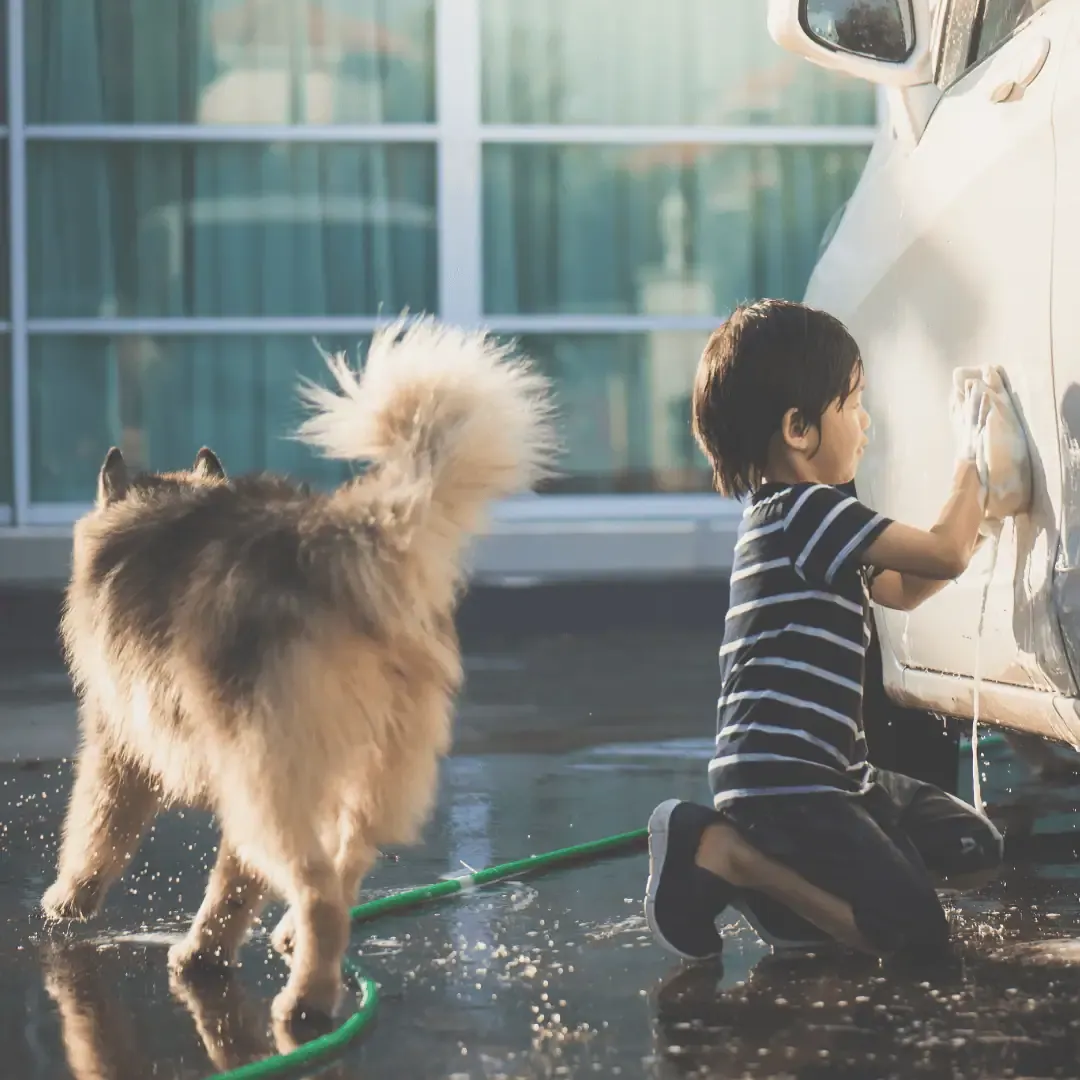 Comprehensive motor vehicle insurance