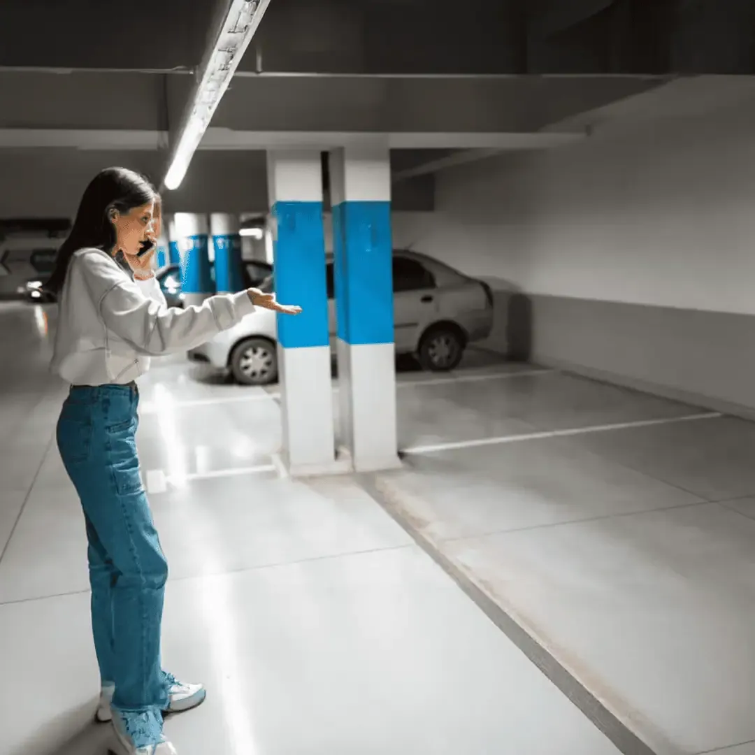 Check if a vehicle is marked as stolen via CarVeto's database