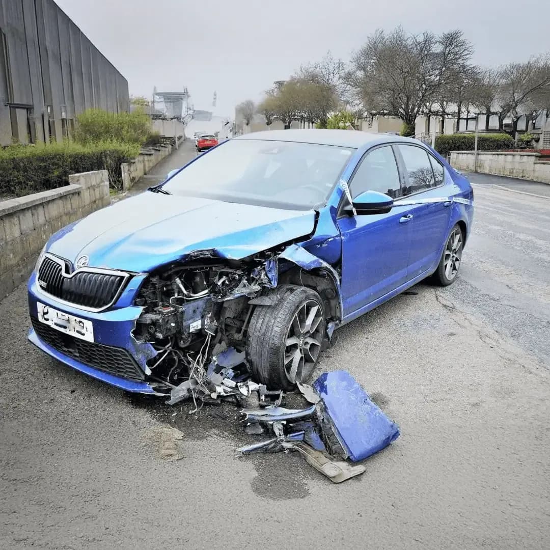 Car write-off check